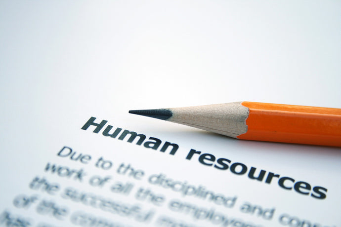 The Benefits of Using Recruitment Firms For Your Next Job Search